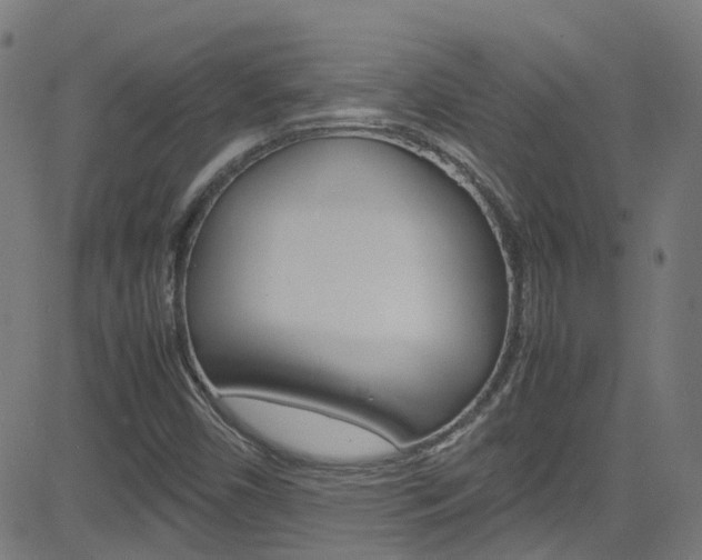 X0000083001450200702011157
