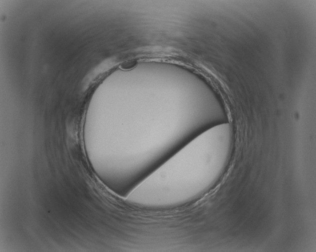X0000083001451200702011157