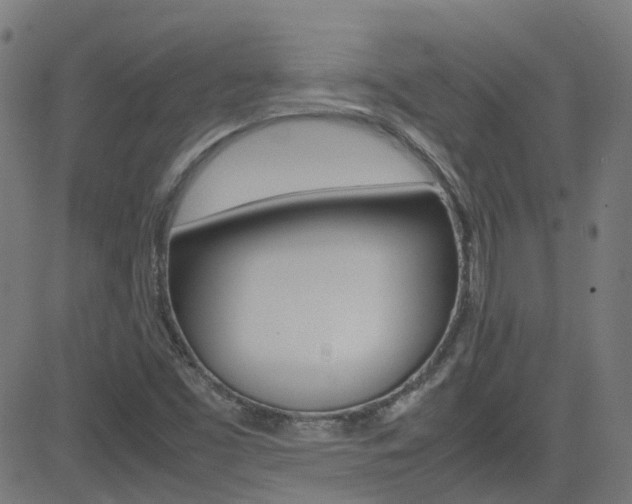 X0000083001453200702011157