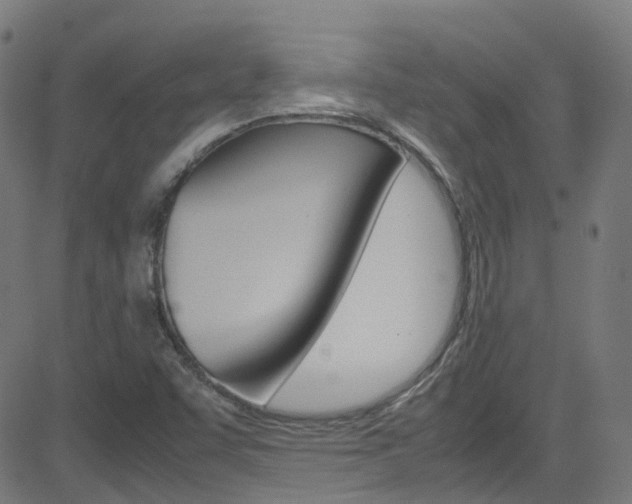 X0000083001455200702011157