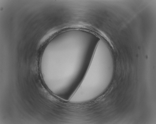 X0000083001456200702011157