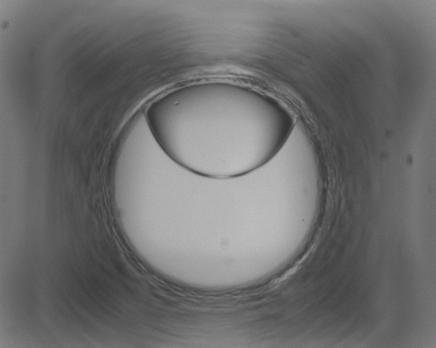 X0000083001457200702011157