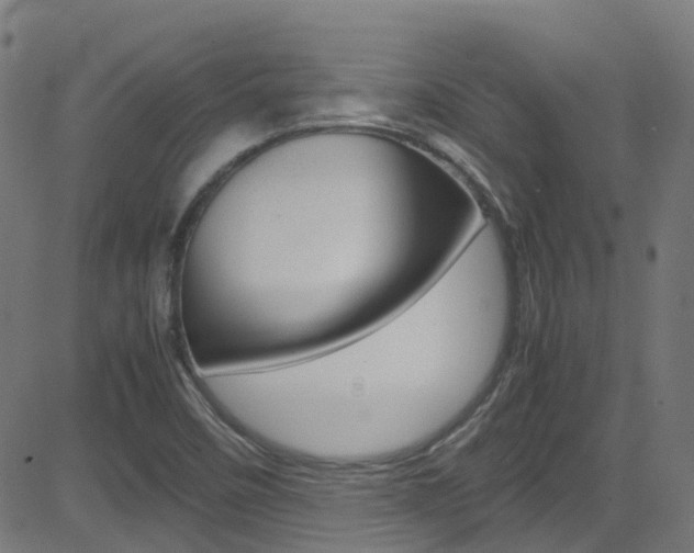X0000083001458200702011157