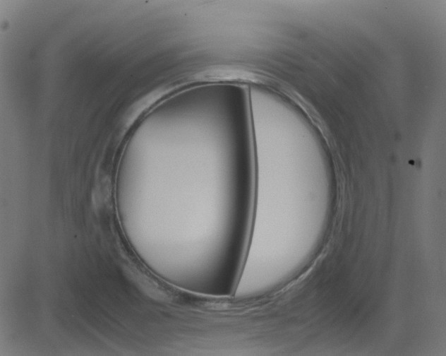 X0000083001465200702011157
