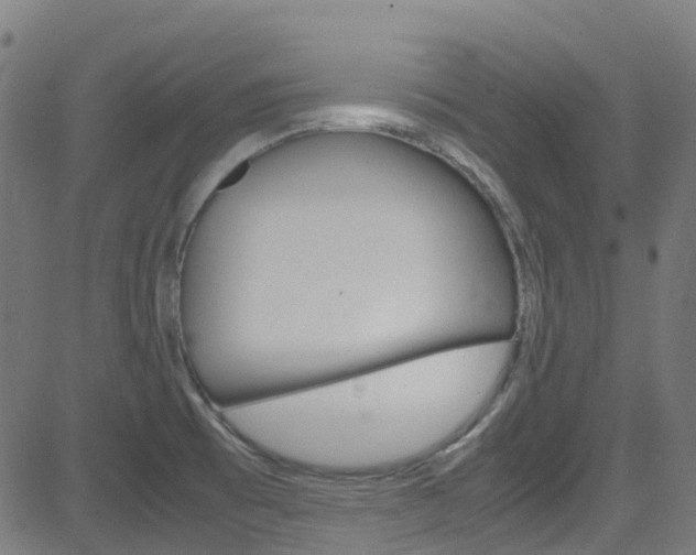 X0000083001473200702011157