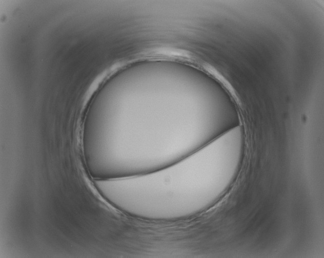 X0000083001477200702011157