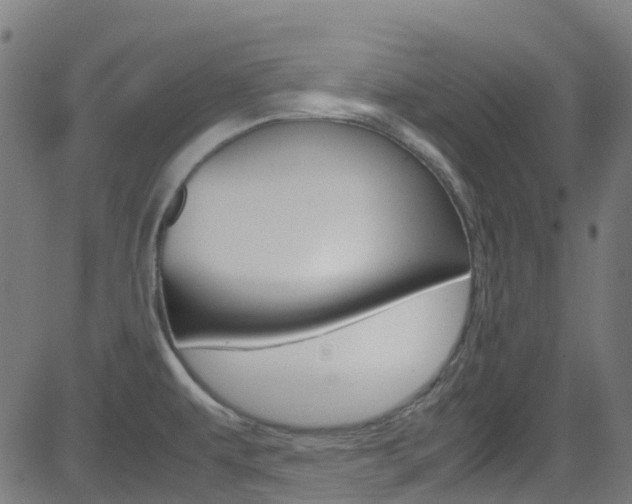 X0000083001479200702011157