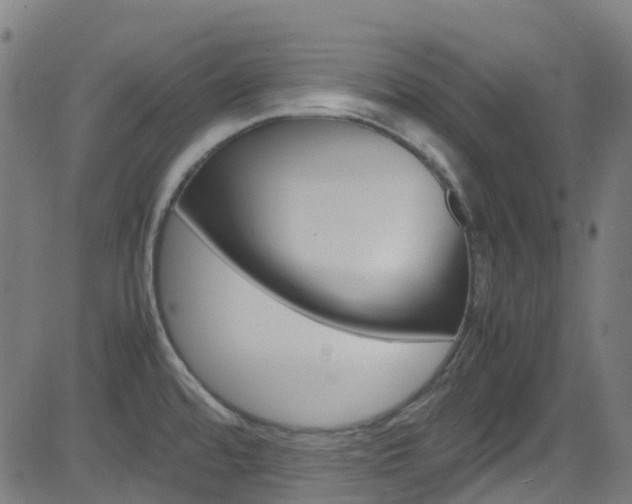 X0000083001480200702011157