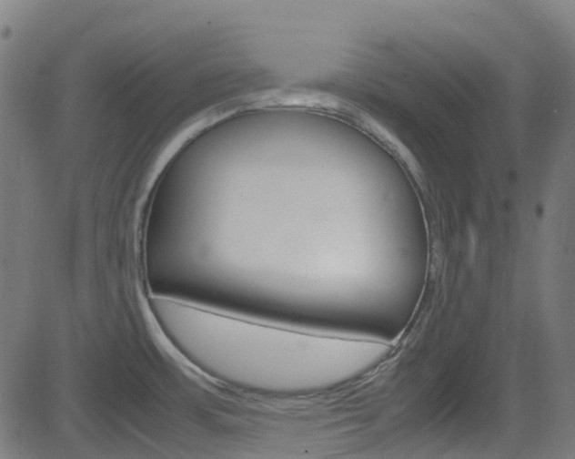 X0000083001483200702011157