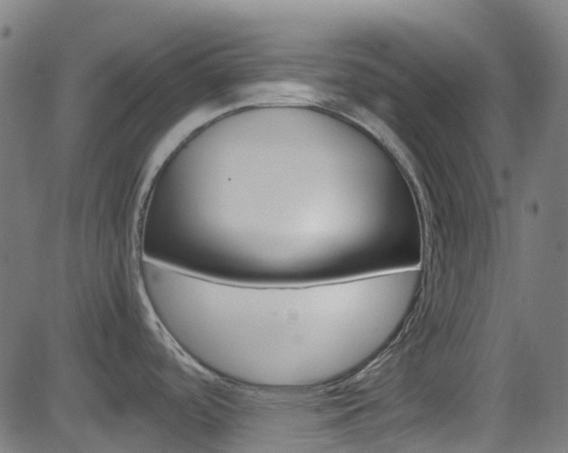 X0000083001488200702011156