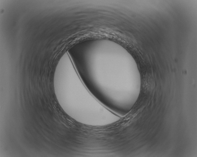 X0000083001490200702011156