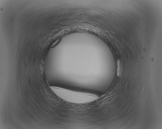 X0000083001491200702011156