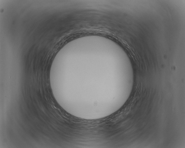 X0000083001492200702011156