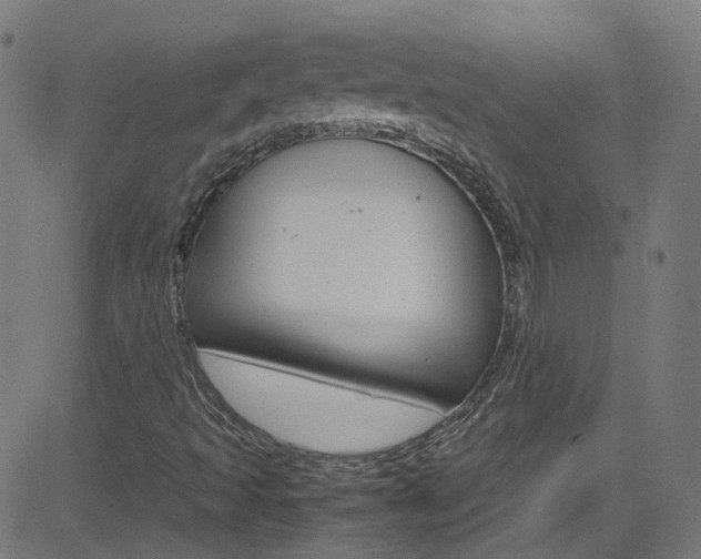 X0000083001493200702011156
