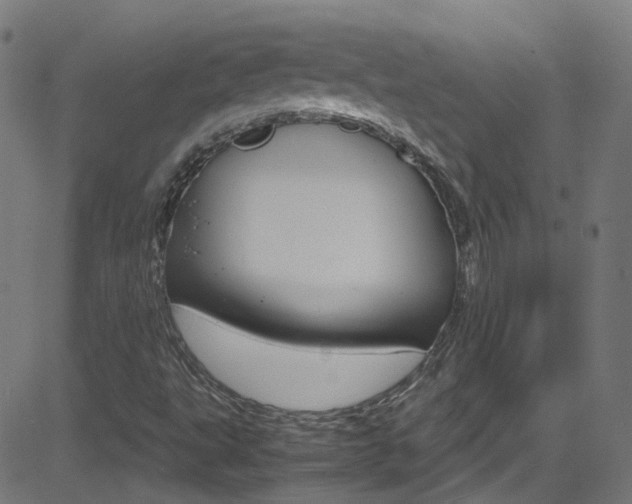X0000083001495200702011156
