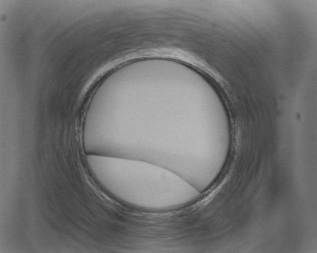 X0000083001498200702011156