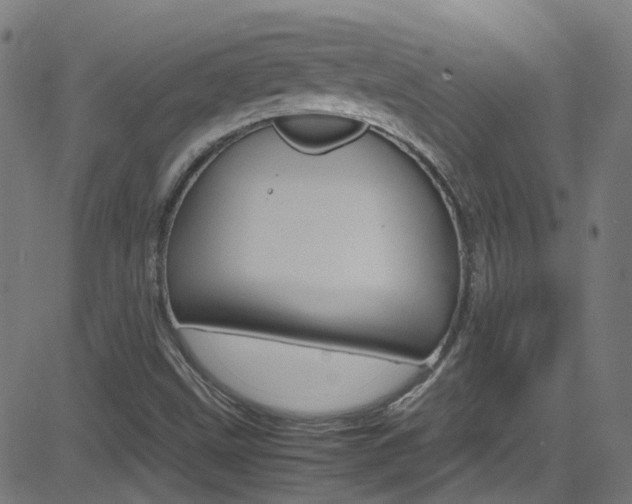 X0000083001499200702011156