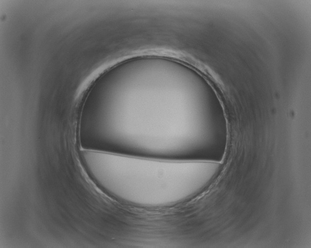 X0000083001504200702011156