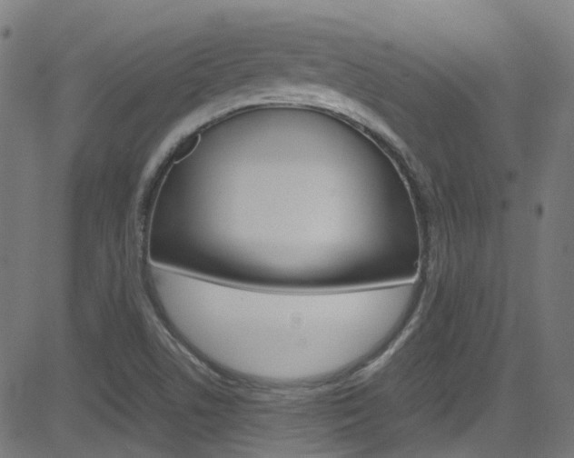 X0000083001506200702011156