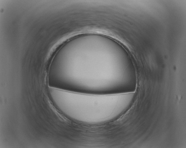 X0000083001507200702011156