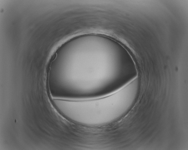 X0000083001508200702011156