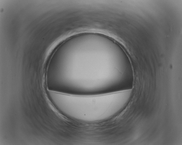 X0000083001511200702011156