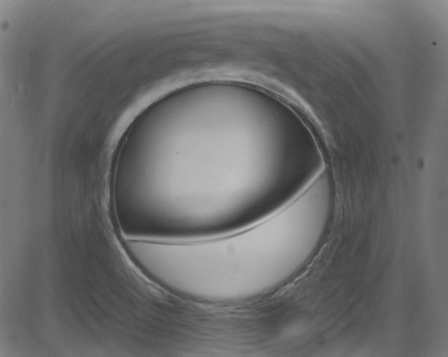X0000083001512200702011156