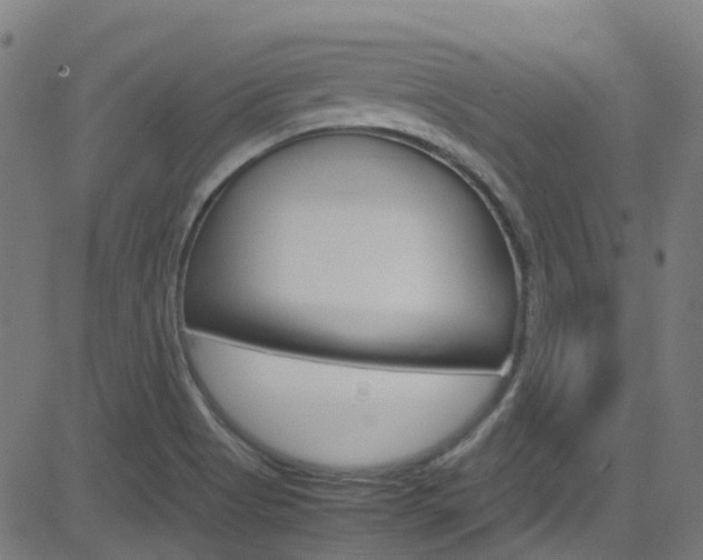 X0000083001513200702011156