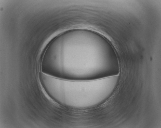 X0000083001515200702011156
