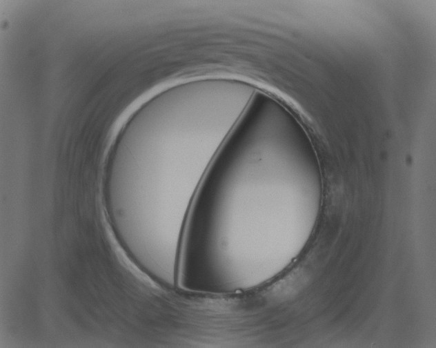 X0000083001518200702011156