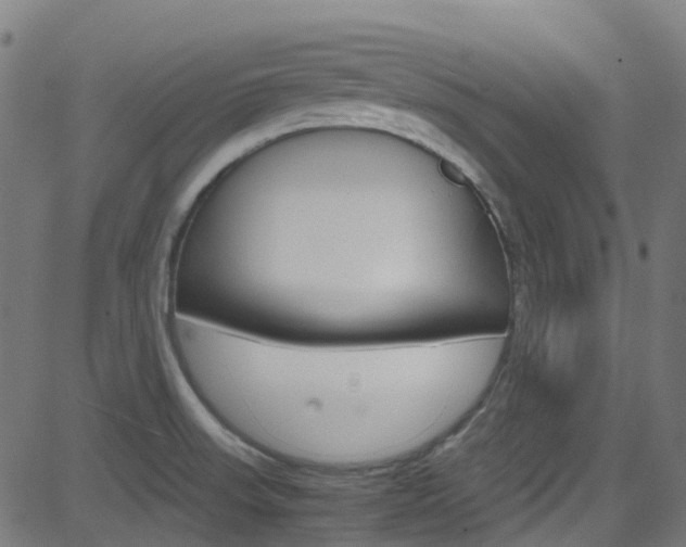 X0000083001523200702011156