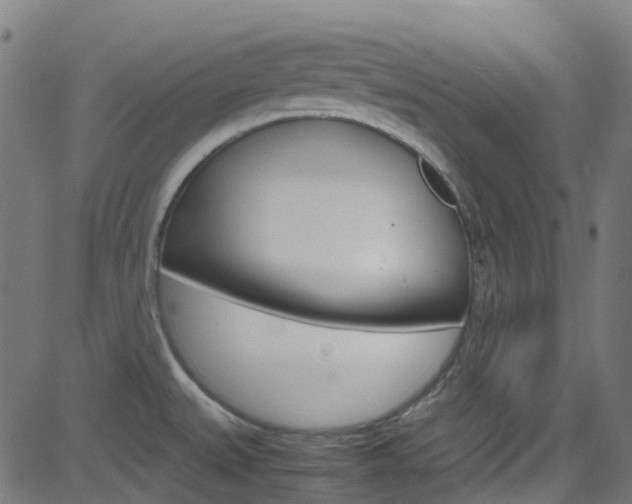 X0000083001527200702011156
