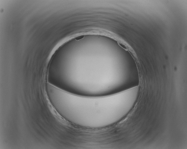 X0000083001530200702011156