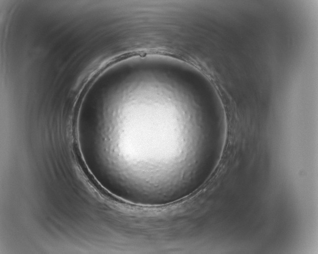 X0000083000002200702011507