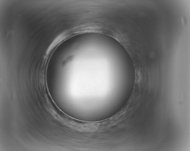 X0000083000004200702011507
