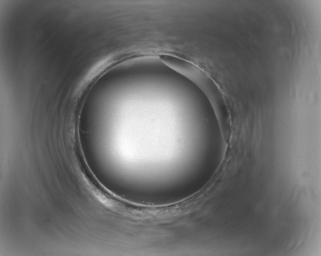 X0000083000005200702011507