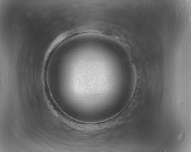 X0000083000006200702011507