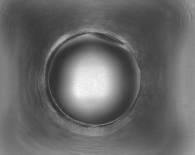 X0000083000008200702011507