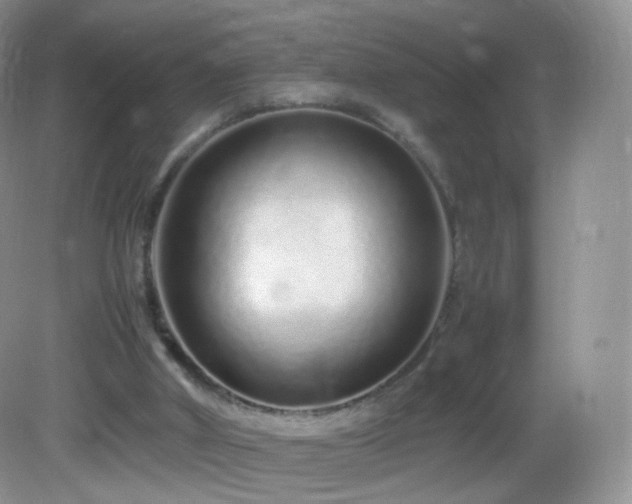 X0000083000010200702011507
