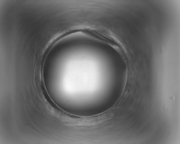 X0000083000011200702011507