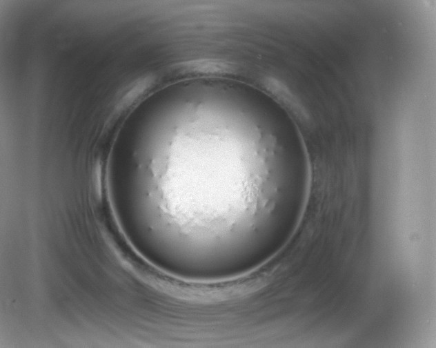 X0000083000014200702011507