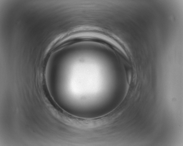 X0000083000015200702011507