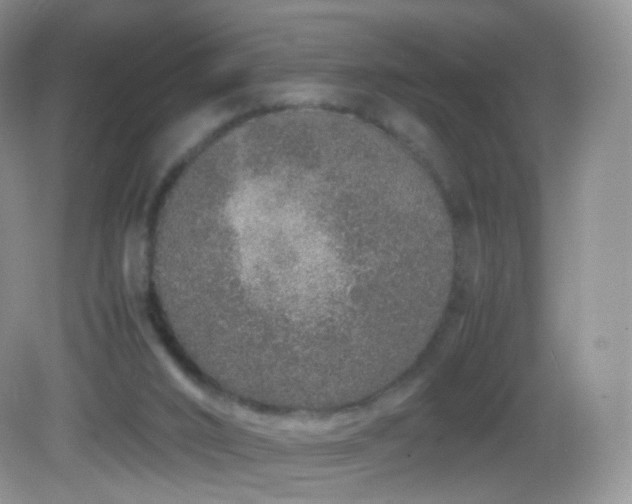 X0000083000016200702011506