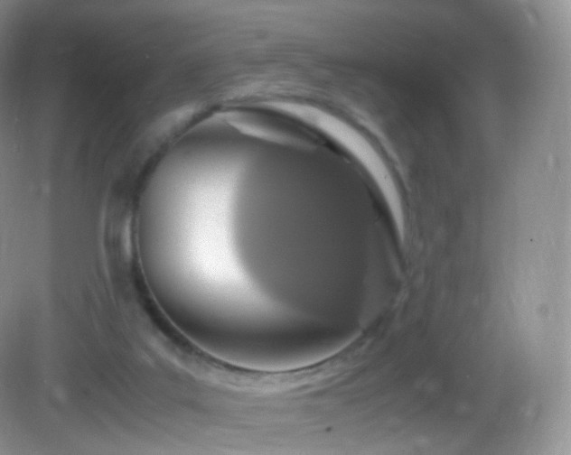 X0000083000019200702011506