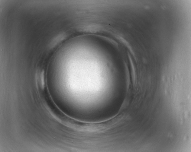 X0000083000020200702011506