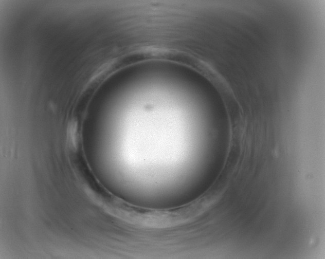 X0000083000024200702011506