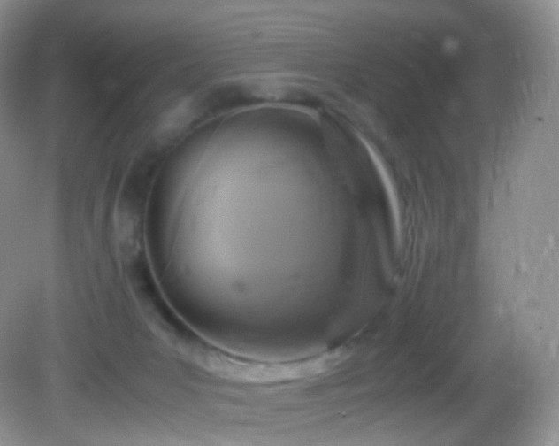 X0000083000031200702011506