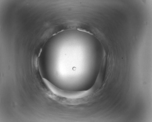 X0000083000041200702011506