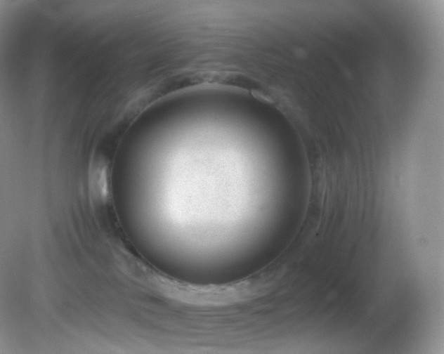 X0000083000042200702011506