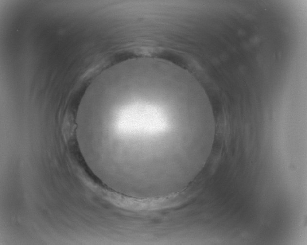 X0000083000043200702011506